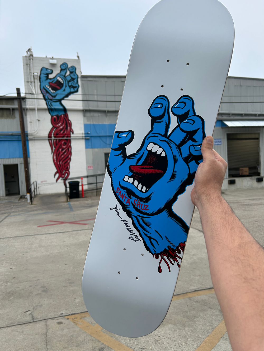 サンタクルーズ BEAMS screaming×Jim Phillips screaming×Jim Phillips BEAMS サンタクルーズ
