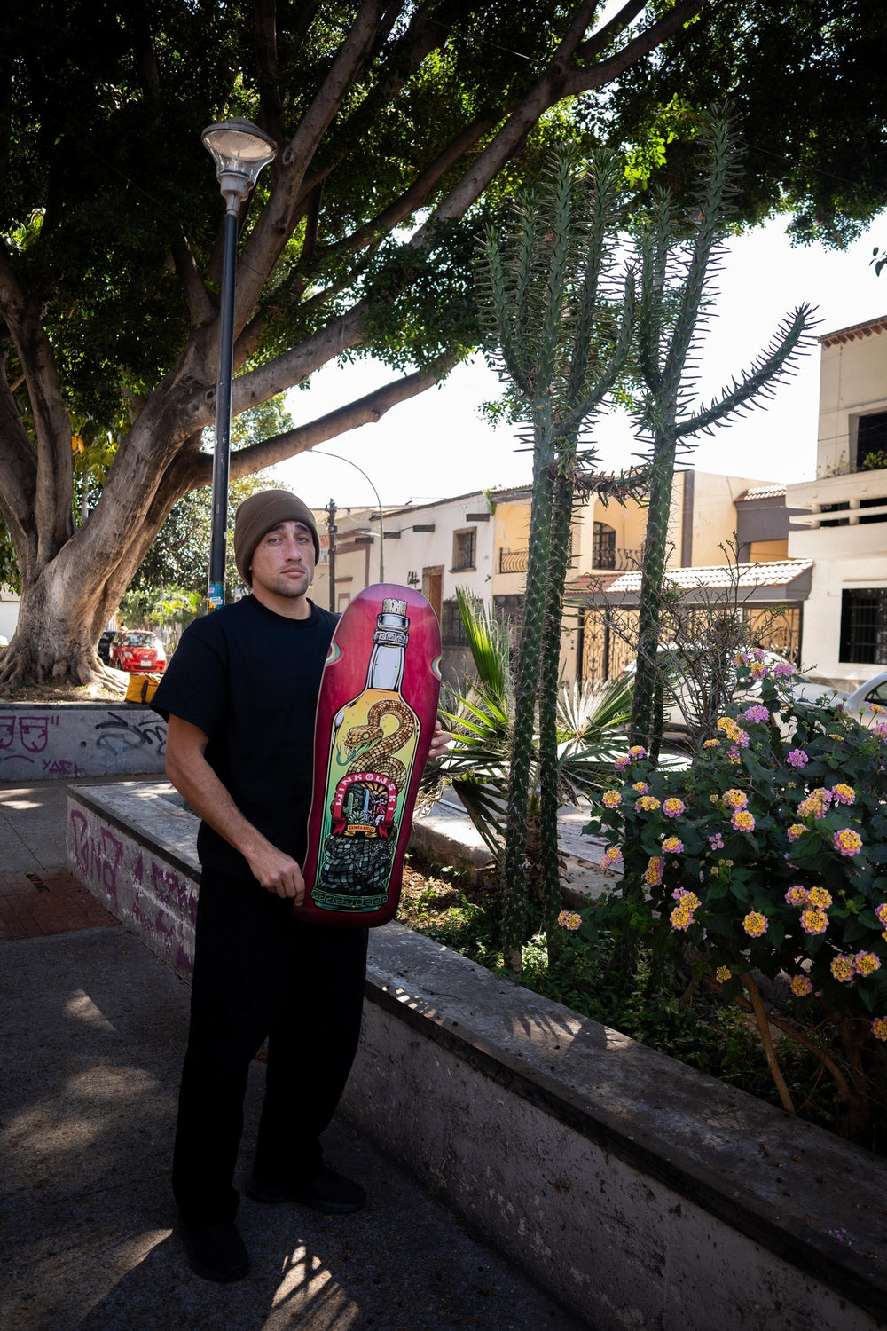 10.35in Winkowski Agave Snake Deck | Shaped Skateboards | Santa Cruz