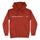 Classic Dot Womens Santa Cruz Hoodie Pigment Amber