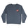 Cruz Chest Santa Cruz Youth Crew Neck Sweatshirt Storm Blue Hthr