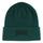 Logo Outline Creature Beanie Spruce