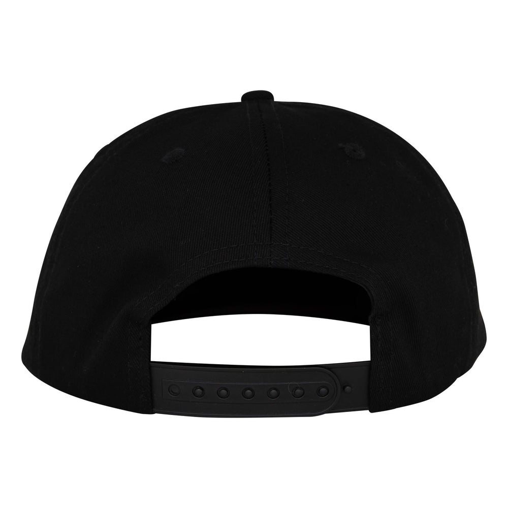 Roskopp Iris Snapback Hat | Santa Cruz Unisex Skate Headwear