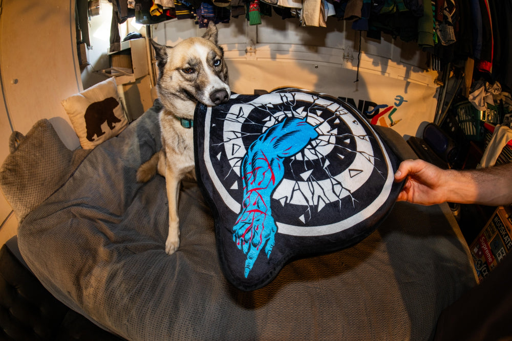 Roskopp Target Pillow | Collectible Skate Accessories | Santa Cruz
