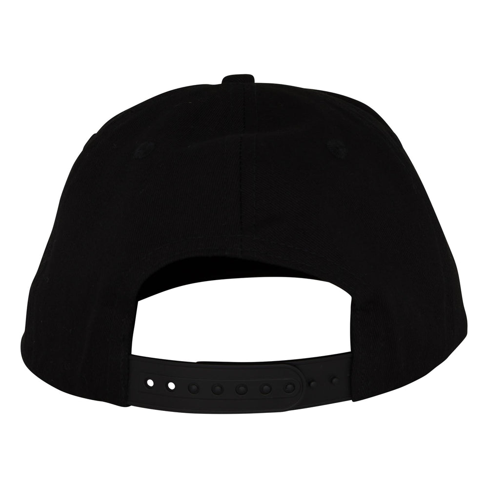 Cruz Label Snapback Hat | Skate Headwear | Santa Cruz
